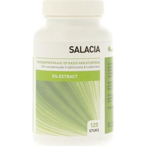 Ayurveda Health Salacia oblonga 5% saponinen extract 120 tabletten