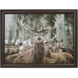 Mars & More - Laptray - Schootkussen - Winter Hert - 33x43cm