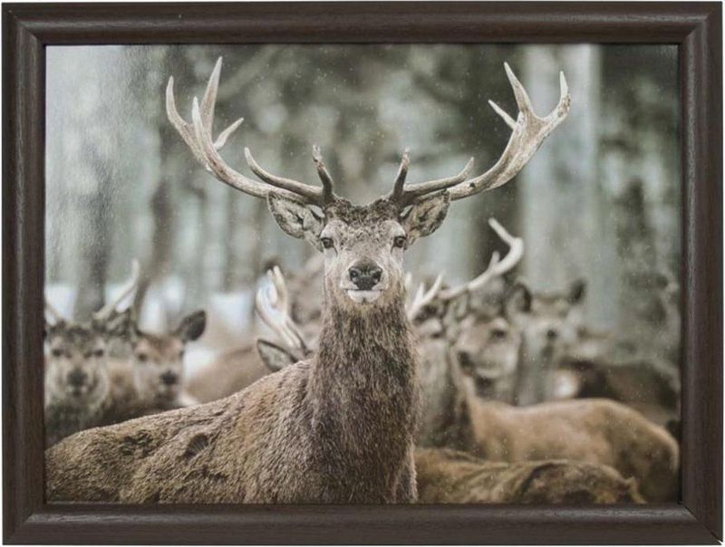 Mars & More - Laptray - Schootkussen - Winter Hert - 33x43cm