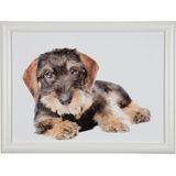 Mars & More laptray Teckel