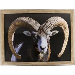 Houten dienblad 2-delig 33 x 18 & 43 x 23 cm naturel - House Doctor