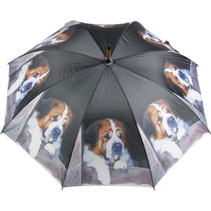 Paraplu st. bernard