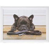 Mars & More Schootkussen - Laptray - Franse Bulldog - 43x33cm