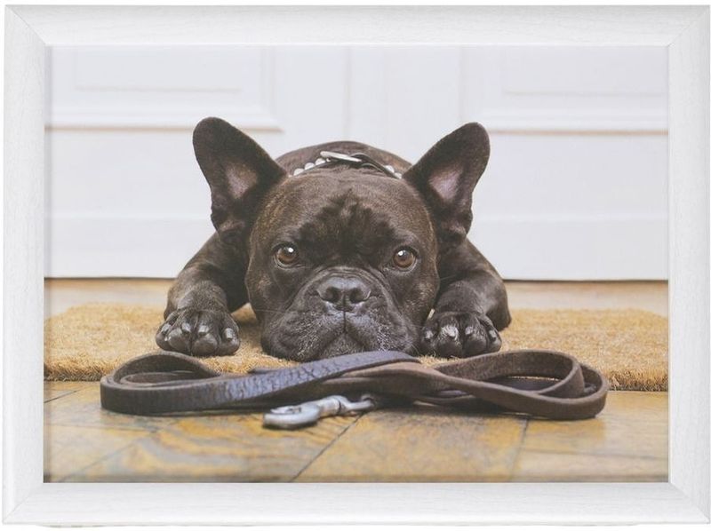 Mars & More Schootkussen - Laptray - Franse Bulldog - 43x33cm