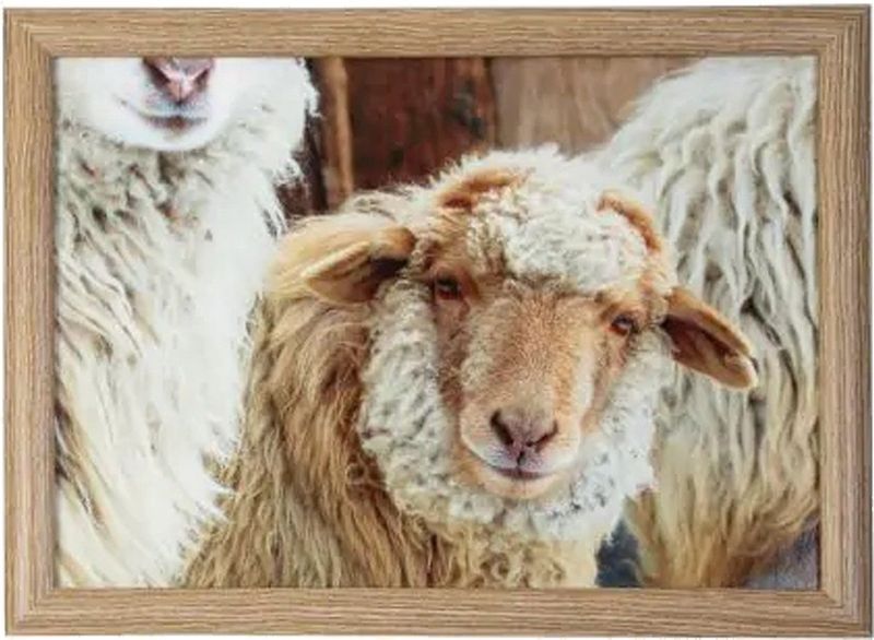 Mars & More - Schootkussen Schaapjes - Beige - 43x33x9cm - Hout