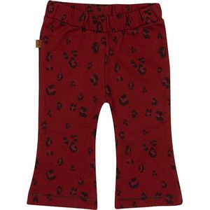 Frogs and Dogs - Wild About You Flair Pants - - Maat 50 -