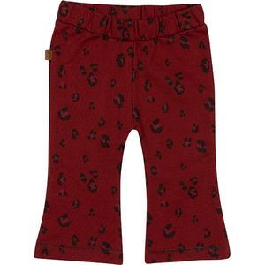 Frogs and Dogs - Wild About You Flair Pants - - Maat 56 -