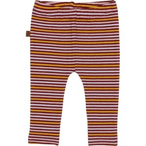 Frogs and Dogs - Wild About You Yarn Dyed Legging - - Maat 50 -