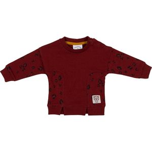 Frogs and Dogs - Wild About You Sweater Leo Insert - - Maat 50 -