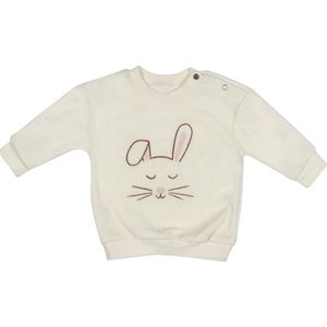 Frogs and Dogs - Winter Flower Sweater Bunny Velvet - Maat 80 -