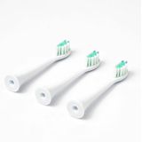 Duodent Opzetborstels 350 3 stuks