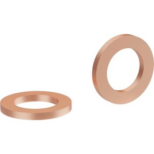 Elvedes afdichtring klein voor hope slang (10x) elv-hp04