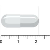Vitals Vitamine B5 Pantoth 250mg 100 capsules