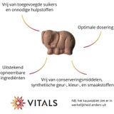 Vitals Elke dag junior 90 kauwtabletten