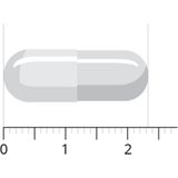 Vitals Acetyl-L-carnitine 500 mg 60 Vegetarische capsules