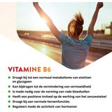 Vitamine B6 - Pyridoxal-5’-fosfaat - 60 Capsules