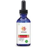 Elementair Zink & Koper - Mineralen - Oplossing - Natuurlijk Concentratieproces