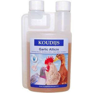 Koudijs Garlic Allicin 250 ML