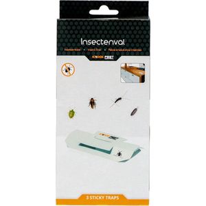 Knock Pest Insectenval Groot