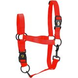 Excellent Horse - XS - Essential Halster - Halster voor paard - Geschikt voor paarden - Rood