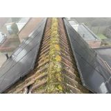 Excellent Vogelpinnen voor zonnepanelen - Duivenpinnen - Vogelwering - 50 cm - Zwart/RVS