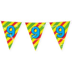 Happy Verjaardag Vlaggenlijn 9 Jaar - 10m - Dubbelzijdig bedrukt - Folie - Multi colour kleuren palet