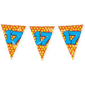 Flagline 17 Jahre Farbig 10m