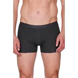 Intersocks - Thermosokken heren - Multipack 4 paar - 39/42 - antracite - SKI