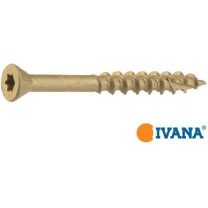 Ivana vlonderschroeven outdoor coating TORX TX-25 platverzonken kop 5 x 80 mm 200 stuks