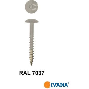 Ivana HPL-plaatschroeven trespa© RVS A2 met TORX TX-20 bit bolkop 12 x 25 mm 100 stuks