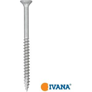 Ivana Buitenschroef AR-Coating Zilver Platkop Met Snijpunt TX-20 5.0x100/60 200 Stuks