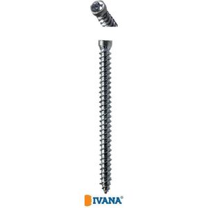 Ivana kozijnschroeven verzinkt TORX TX-30 cilinderkop 7,5 x 92 mm 100 stuks