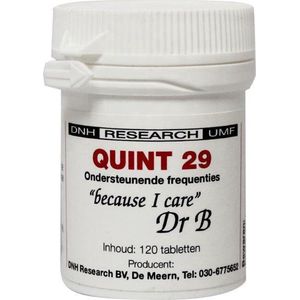 DNH - Quint 29 - Voedingssupplement - 120 Tabletten - Magnesium