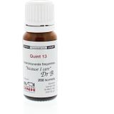 DNH - Quint 13 BMYD - Voedingssupplement - 4 Tabletten - Natuurlijke Ingrediënten