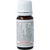 DNH - Quint 33 - Korrels - 200 stuks