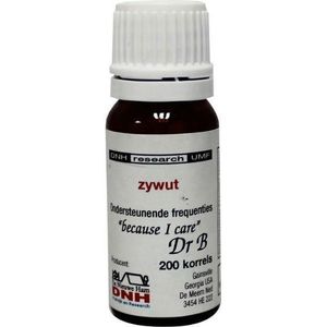 DNH - Zywut - Voedingssupplement - 200 Stuks - Sacharose