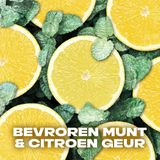 Axe - Ice Chill - 3-in-1 Douchegel - 250 ml - Frisse geur van bevroren munt