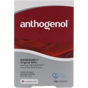 Masqueliers Anthogenol 120 capsules
