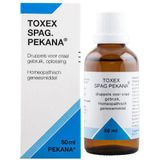 Homeopathisch Geneesmiddel - Argentum Nitricum D12 - Echinacea Angustifolia - 100ml