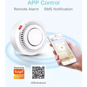 Rook detector met Wifi. (smart melding in de TUYA app)