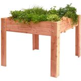 Woodvision Mini Garden - Kweekbak - Douglas Hout - 100 x 100 cm