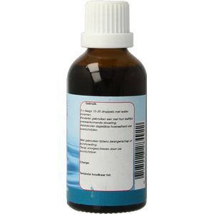 DNH - Gewichtplex - Tinctuur - Bio Akkerpaardenstaart - 60 Druppels