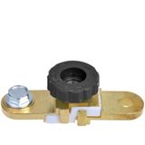 ProPlus - Accupoolklem - Plat - Ø 10 mm - Goud - Met Stroomonderbreker