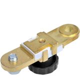 ProPlus - Accupoolklem - Plat - Ø 10 mm - Goud - Met Stroomonderbreker