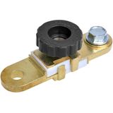 ProPlus - Accupoolklem - Plat - Ø 10 mm - Goud - Met Stroomonderbreker