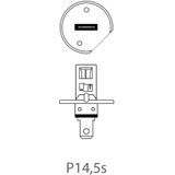Pro Plus Autolamp - 12 Volt - 55 Watt - P14.5S - H1