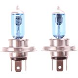 Pro Plus Autolamp Xenon Look - 12 Volt 60/55W H4 - 2 stuks