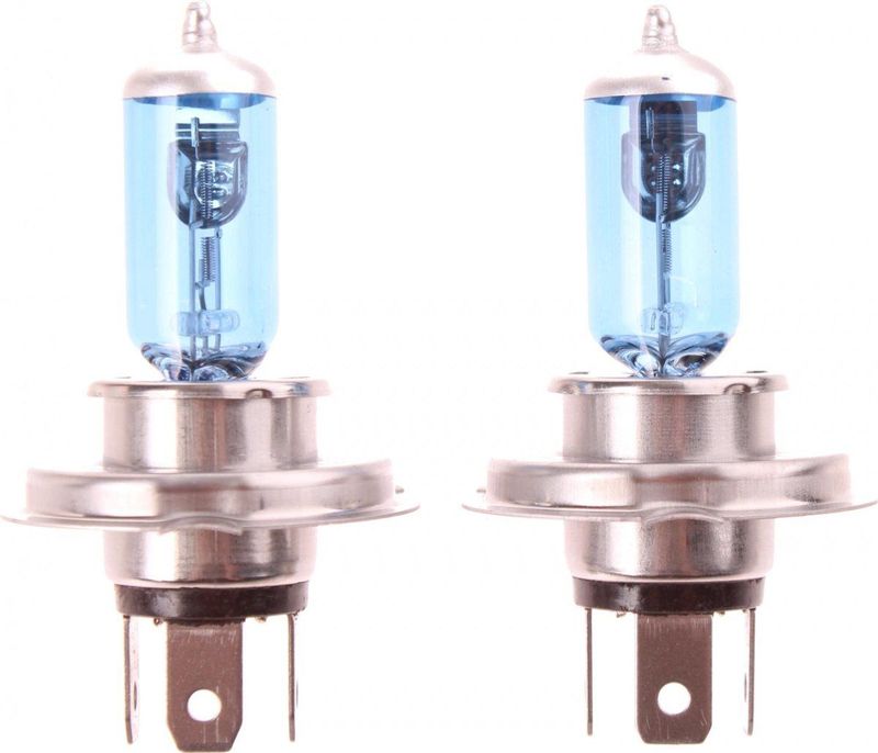 Pro Plus Autolamp Xenon Look - 12 Volt 60/55W H4 - 2 stuks