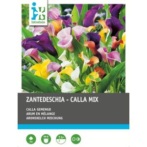 Intratuin Calla knol (Zantedeschia) mix 4 stuks