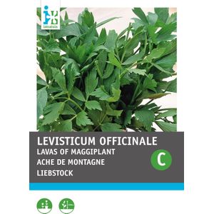 Intratuin kruidenzaad Lavas of Maggiplant (Levisticum officinalis)